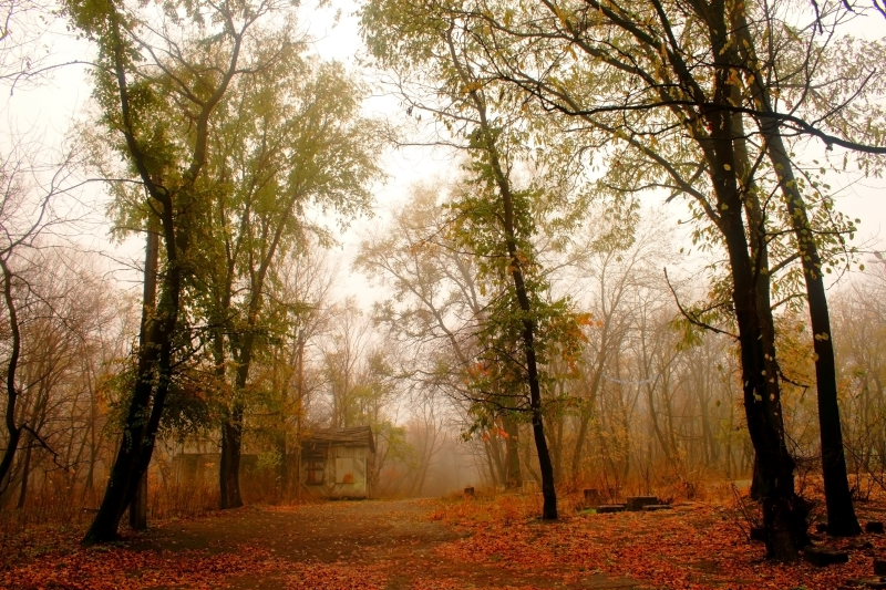 смотри как осень...