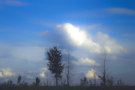 без названия