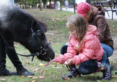 К нам приезжал цирк!