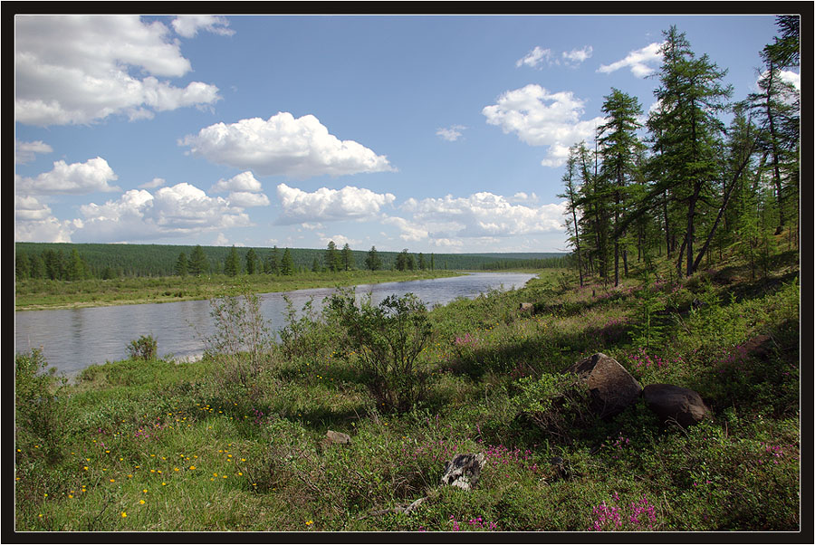 Река Далдын