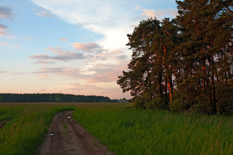 Просёлочная дорога