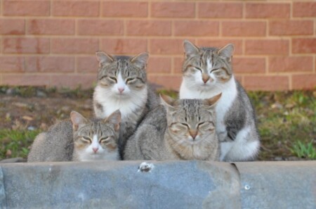 Семейный портрет