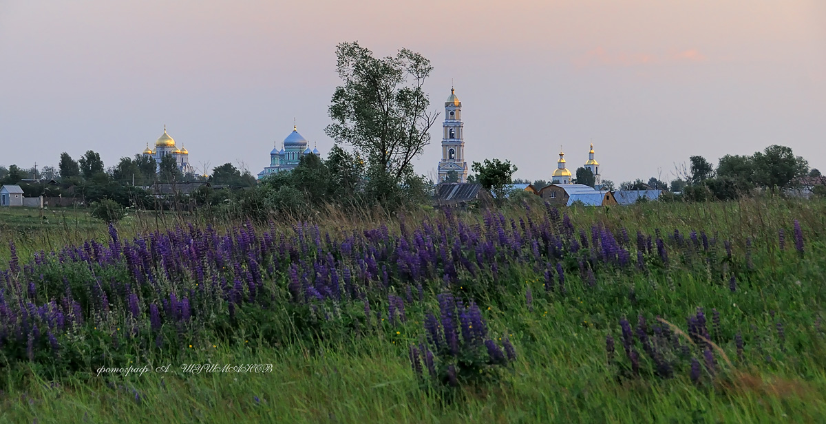 ЛЮПИНЫ,ЗАКАТ,МОНАСТЫРЬ