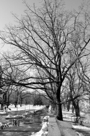 весенее настроение