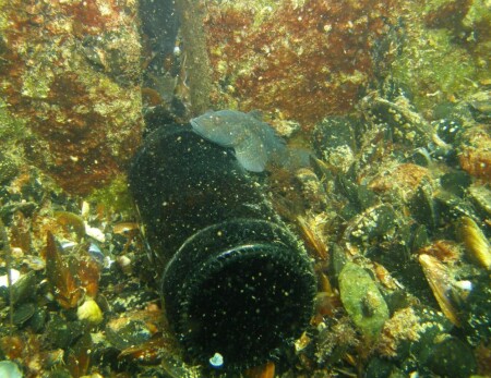 Тебя я крепко обнимаю...