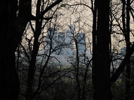 Город и Лес