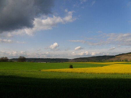 Взгляд из тени