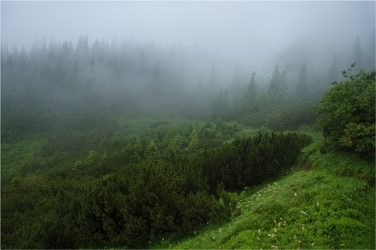 Дорога в горы