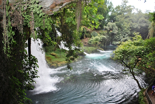 Water in green