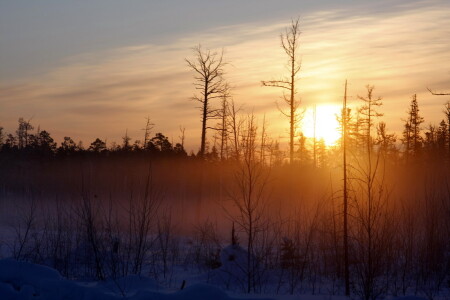 утро на зимнике
