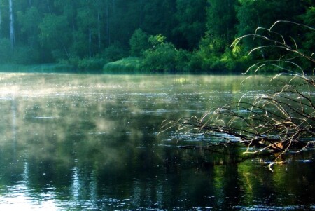 Утро на р.Шуя.