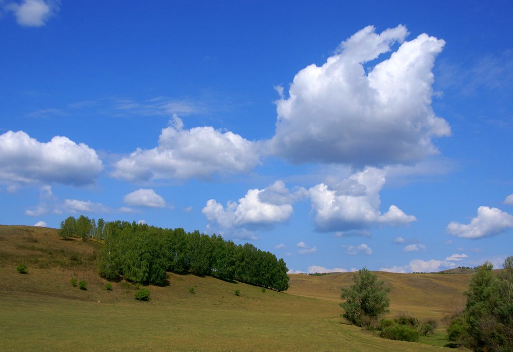 Cклон