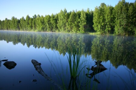Утро в Юнтолово