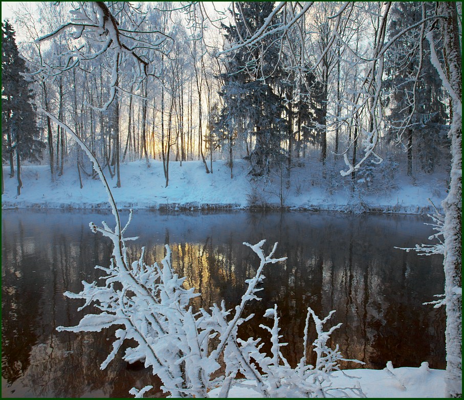 Зимнее утро