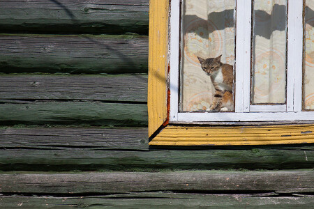 По ту сторону...