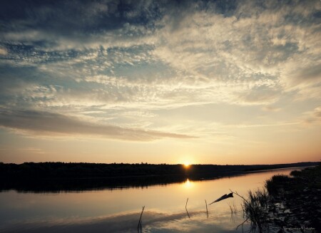 утром... (2)