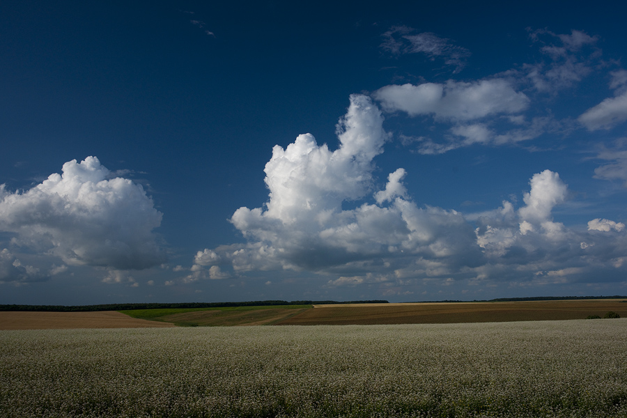 Украина