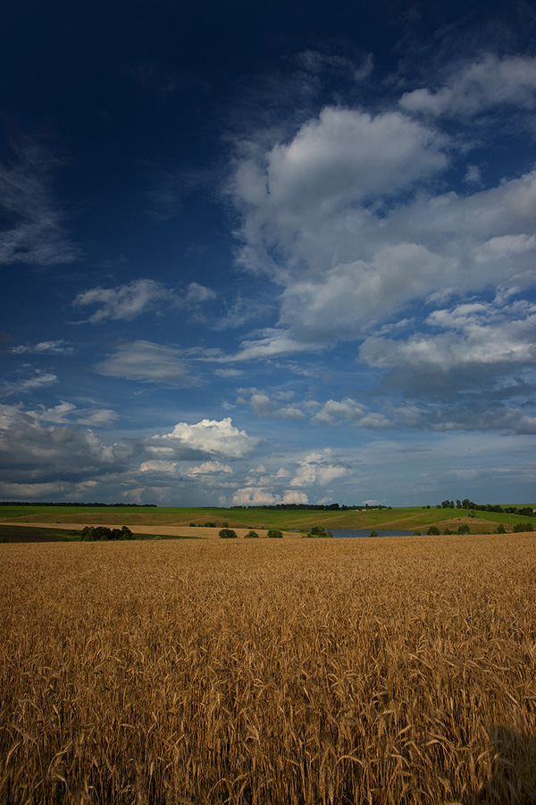 Украина моя