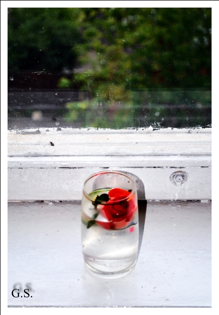 Rose in Glass