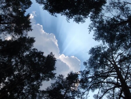 солнце за облаком