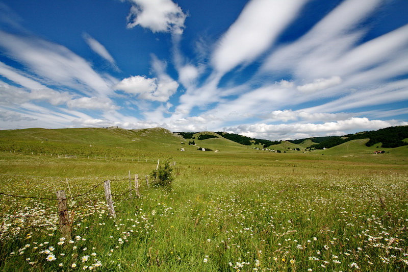 Montenegro hills