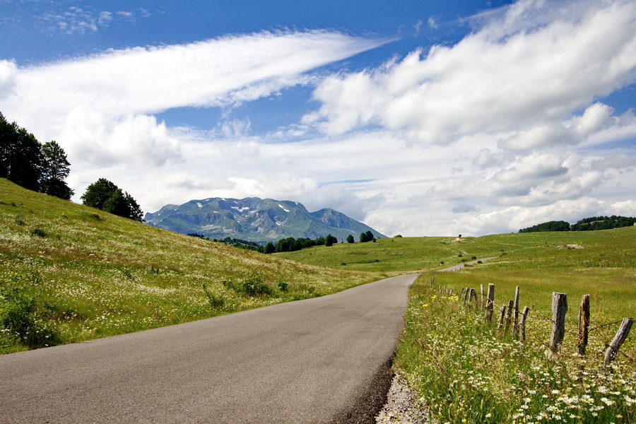 Montenegro hills