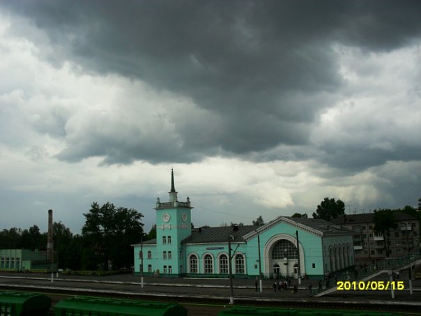 Брянск и его обитатели