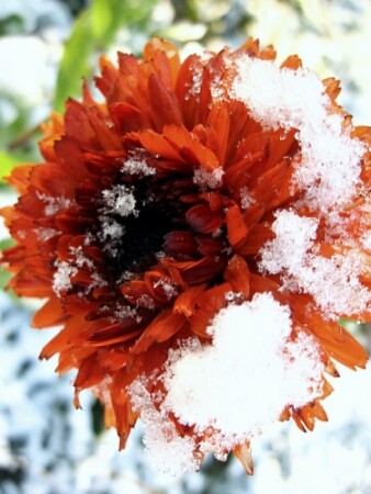 Замерзаю...)