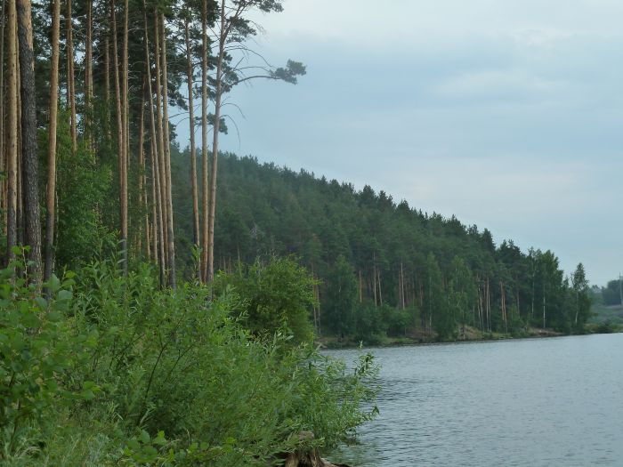 Патрушихинский пруд