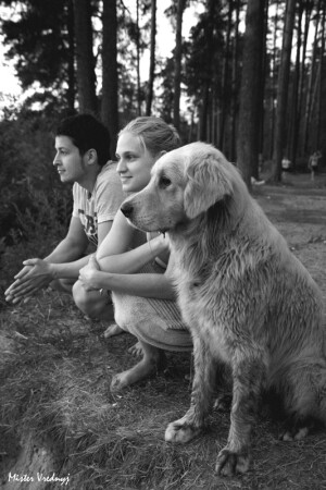 три товарища не считая фотографа