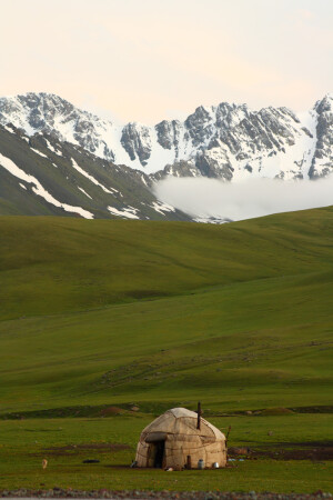 Снег vs. трава
