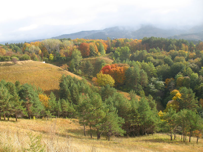 осень