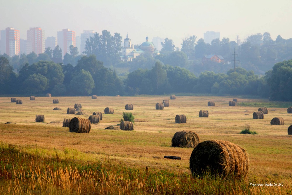 Harvest Time......in the City