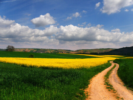 По дороге с облаками