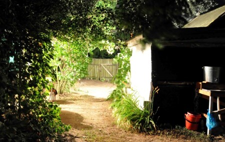 вечера на хуторе