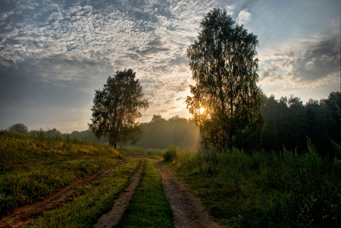 По дороге