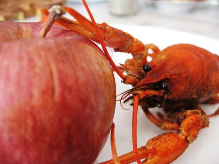 Ему уже не жарко...