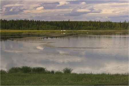 К смене погоды