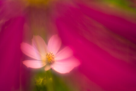 дачный сон жарким летом