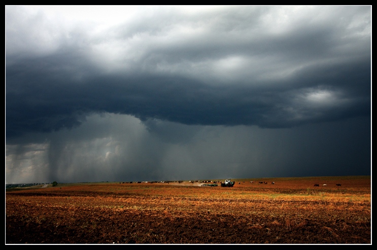 ...the summer rain day.....