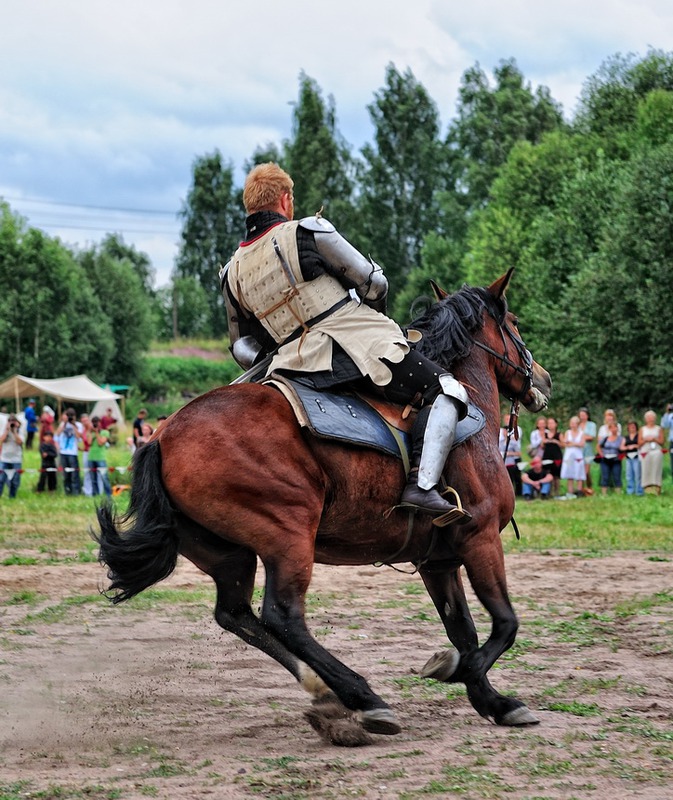 Сэр рыцарь