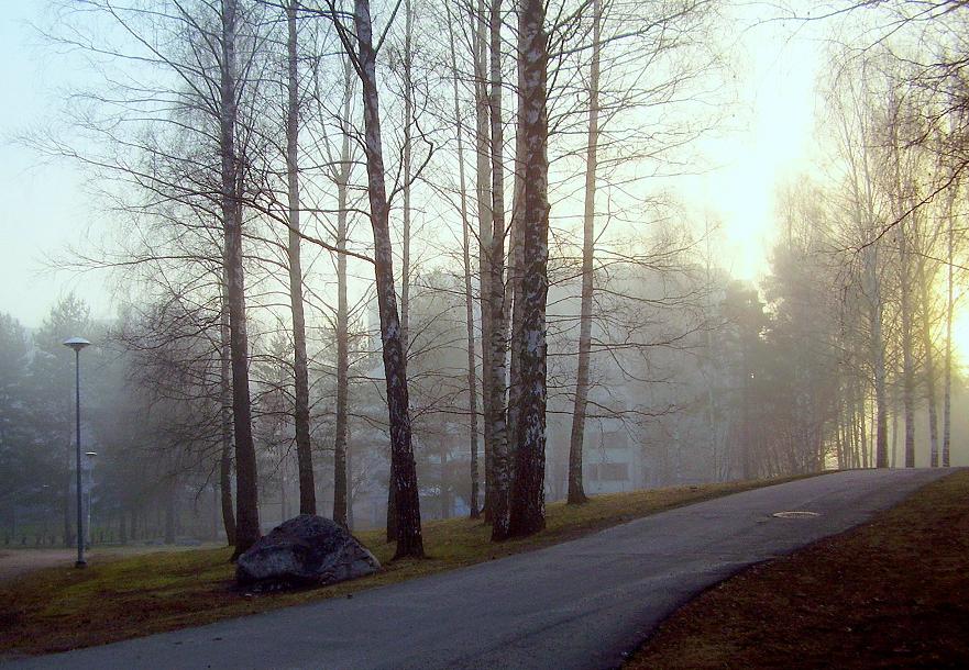 Раннее утро осени