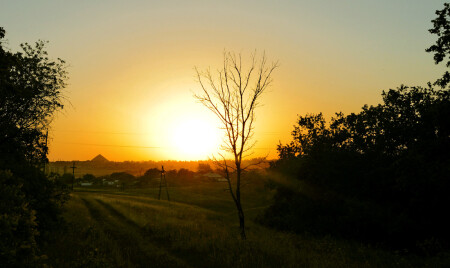Навстречу солнцу