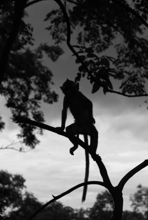 Одиночество