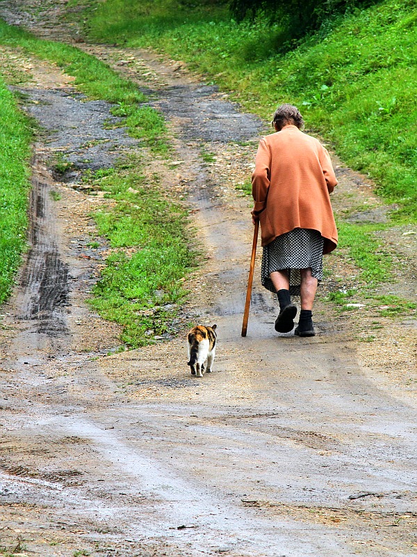 Старушка с кошкой