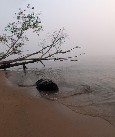 Утро туманное