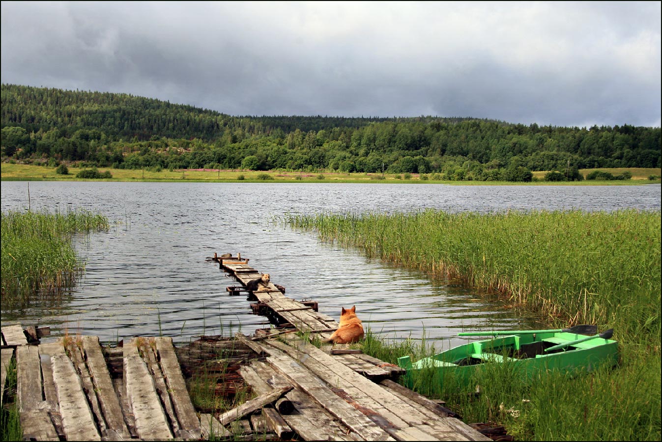 ЖИЗНЬ В ДЕРЕВНЕ