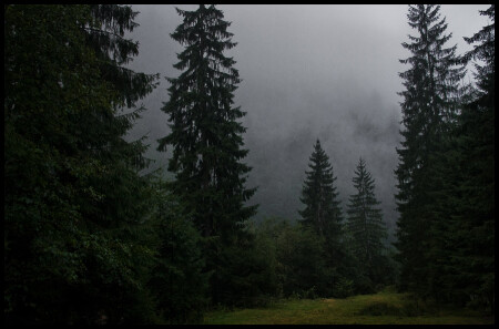 Настроение...