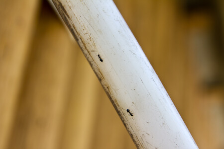 По своим делам