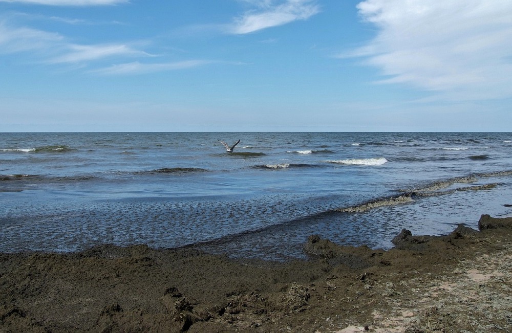 Вот такое вот было море.....